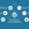 wordpress developer