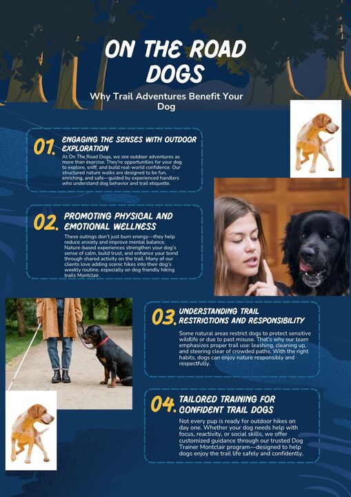 Why are dogs not allowed on hiking trails?