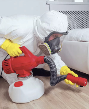 How to Find the Best Pest Control Company for Your Needs