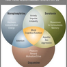 Role of Brain Vitamins in Overall Mental Health 