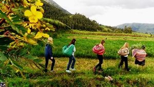 Cusco city walking tour