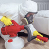 How to Find the Best Pest Control Company for Your Needs