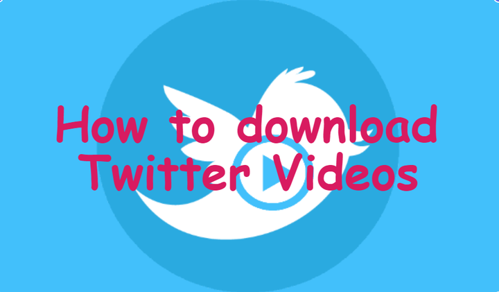 How to download Twitter Videos