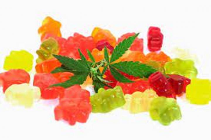 CBD Pet Treats