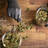 Online Dispensary Canada