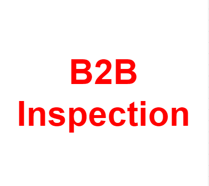 B2B Inspection