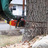 Trees and Turf of North Texas, LLC