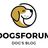 dogs forum