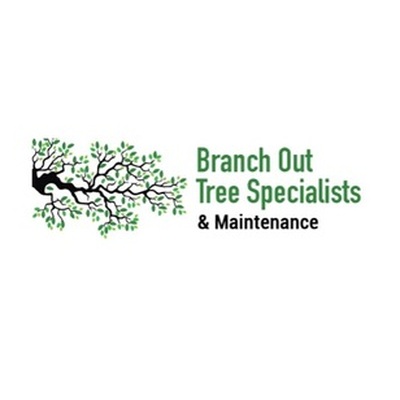 Branch Out Tree Specialist