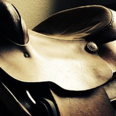 saddle mania