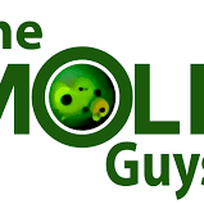 The Mold Guys