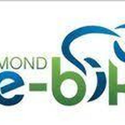 richmond ebikes