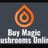 magic mushroms