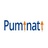 Puminati Digital Private Limited