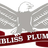 Chambliss Plumbing Company