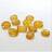 Original  Rudraksha