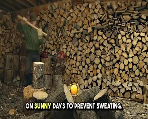 How Should I Store the Logs to Keep Them Dry