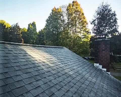 Roof Cleaning Camden